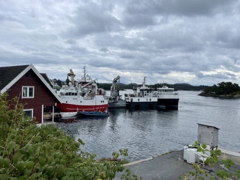 Samba Marin er godt posisjonert for vekst