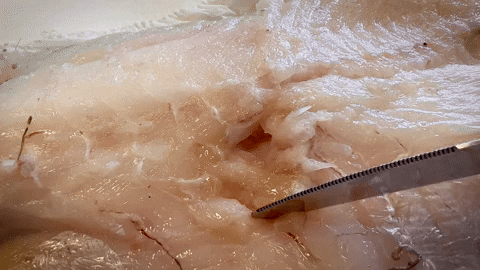 – Flytende fiskekjøtt er noe norsk laksenæring neppe ønsker seg