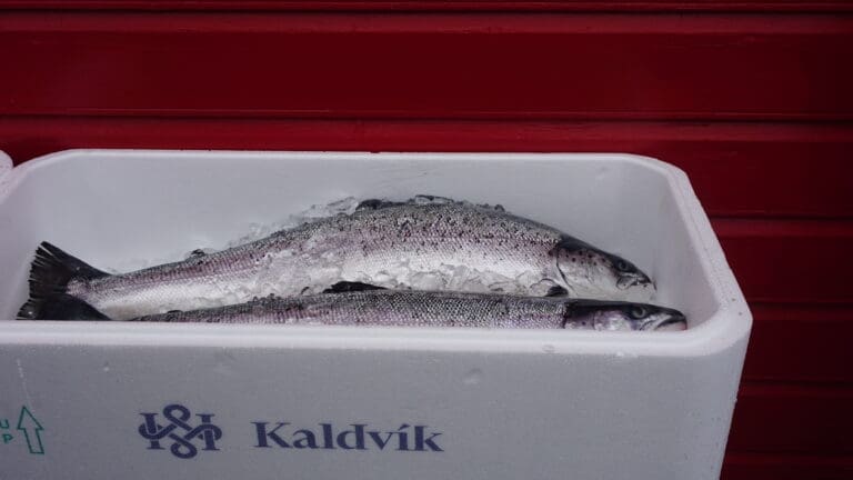 Kaldvik får lettelser i sine lånebetingelser