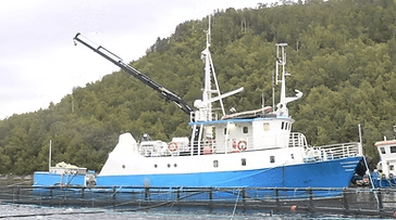 Dykke- og serviceselskap fra Helgeland er konkurs