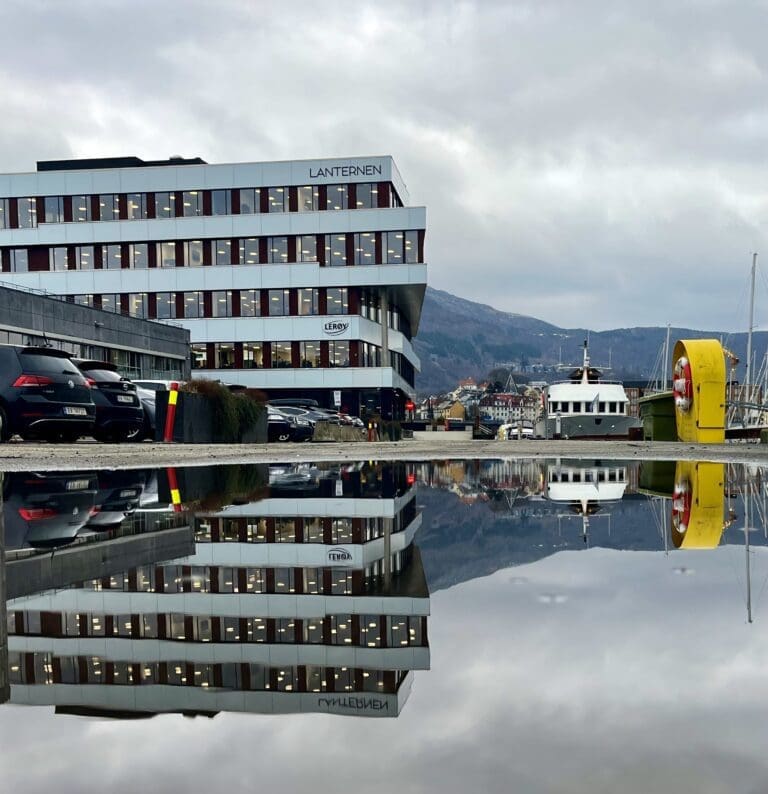Marginpress og lavere slaktevolumer dempet Lerøy