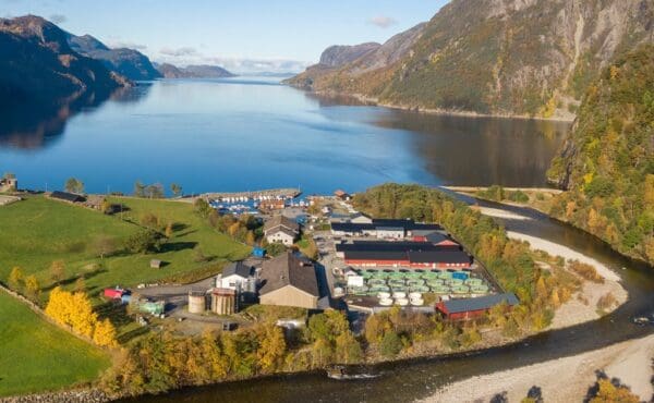 Skjelloppdretter saksøkte Cargill og Rogaland Fjordbruk. Nå må han ut med 3,5 millioner kroner.