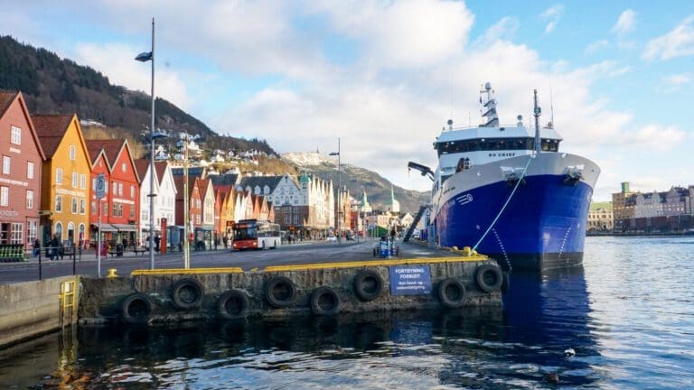 «Laksehovedstaden» vil ikke la et havbruksdirektorat glippe: – Har hele byen i ryggen