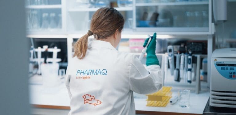 Pharmaq klatret over rekorden: – Både flinke og heldige