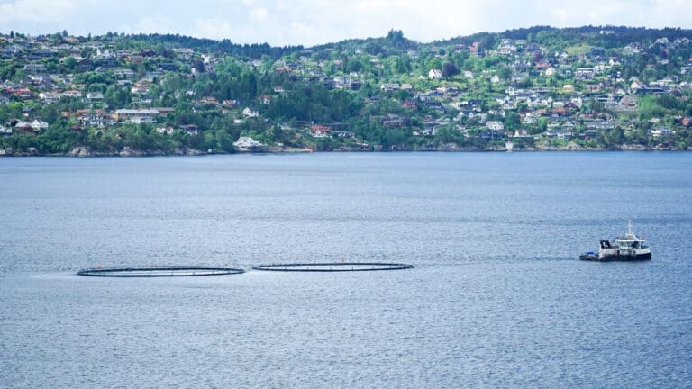 – Oppdrettsnæringen møter ofte større offentlig oppmerksomhet og kritikk enn fiskerinæringen