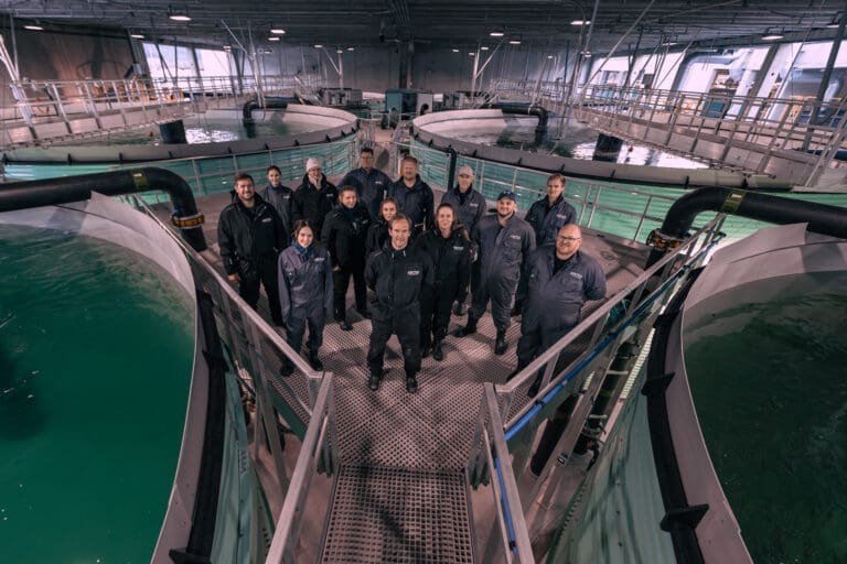 Den første smolten er satt ut i tankene hos Arctic Seafarm på Nesna