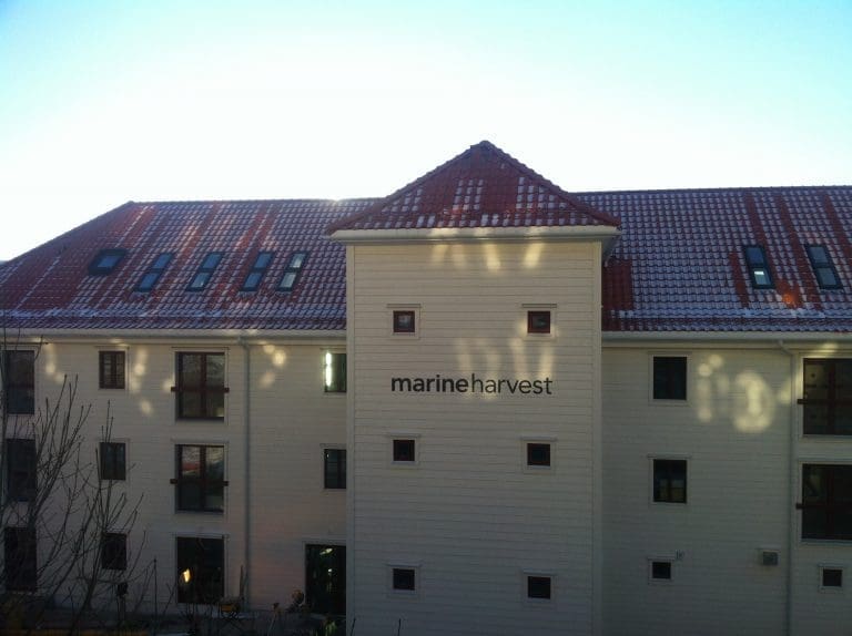 Marine Harvest tjente halvannen milliard i årets første kvartal