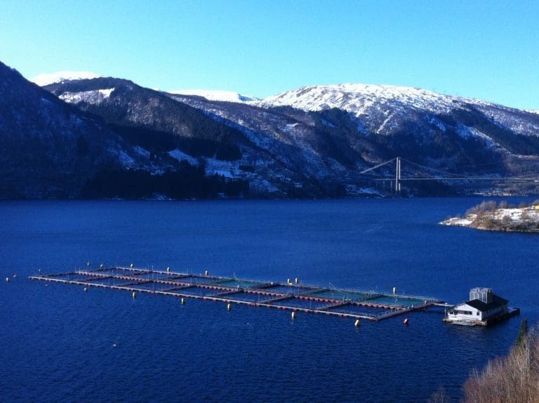 Utbytte i fokus etter forventet Lerøy-resultat