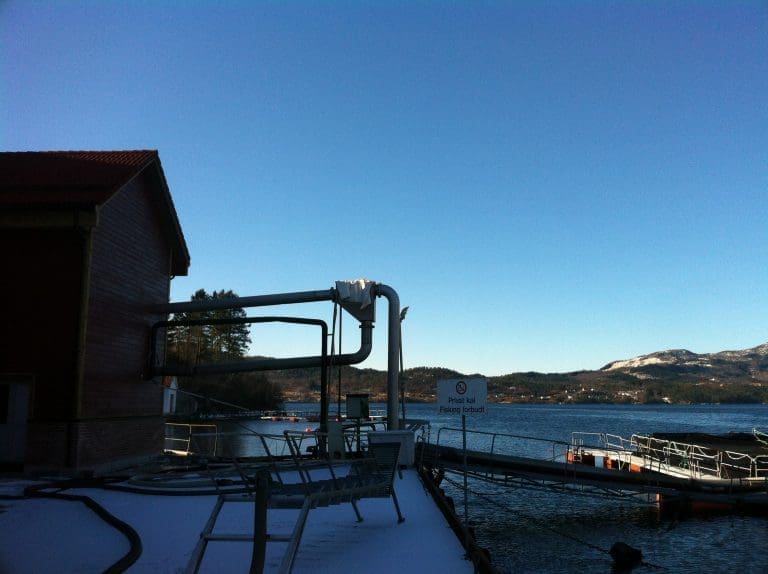 Tøft siste kvartal for Lerøy