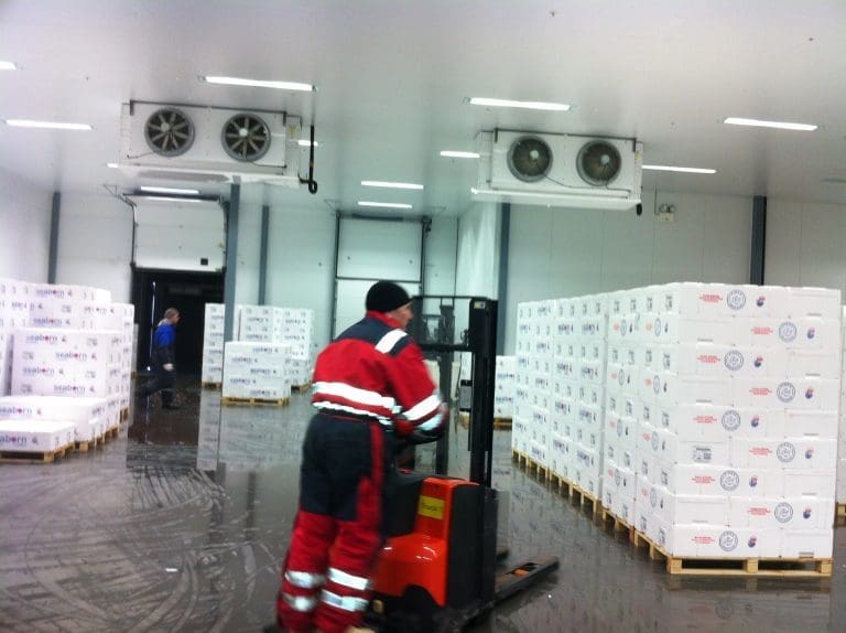 Frp frykter tapte jobber med ny avgift på oppdrettsfisk
