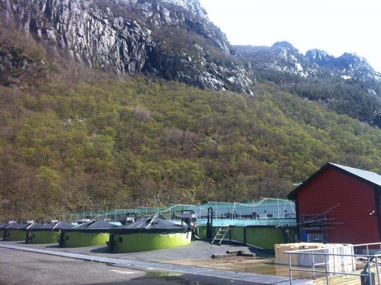 Maskerte menn slo til på EWOS lokaler: – Rutene var knuste og de hadde rast rundt i skuffer og skap
