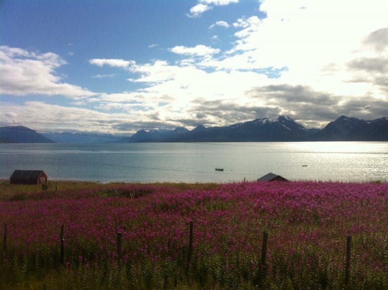 Konkurrerer om kystarealer i Troms