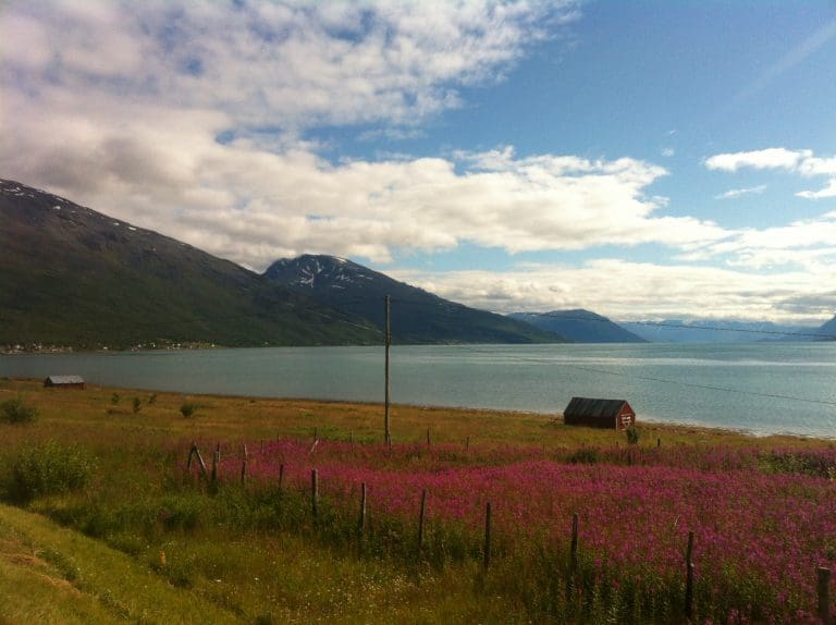 Bækkelund har startet Lyngen Lax
