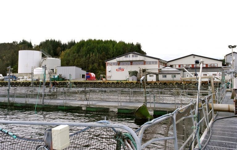 Vil føre laks til Danmark: Sekkingstad og Haugland-gruppen bygger slaktebåt