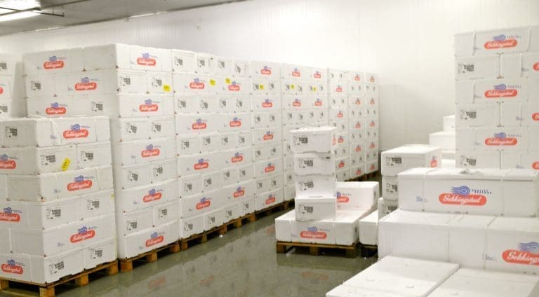 Nesseplast permitterer 20 ansatte