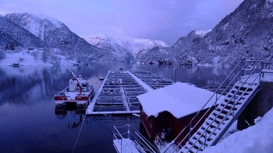– Vil øke risikoen betraktelig for et frislipp av sykdommen