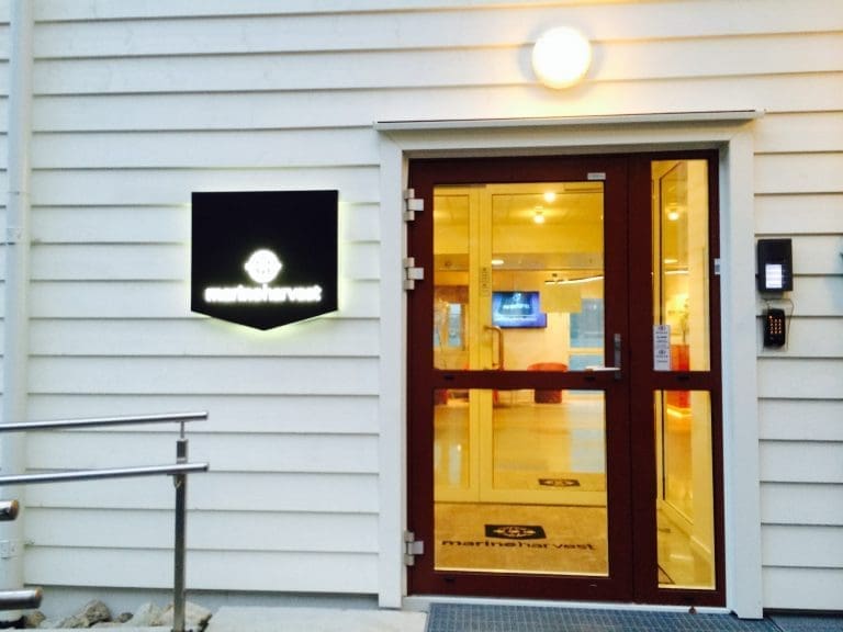 Gjerde går inn i konsernledelsen i Marine Harvest