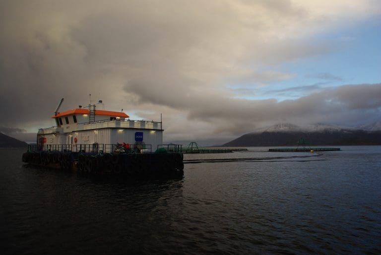 Reddes av gongongen?