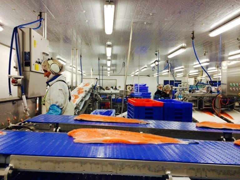 Røkt laks merket Sotra Sjømat trekkes tilbake etter av funn av listeria
