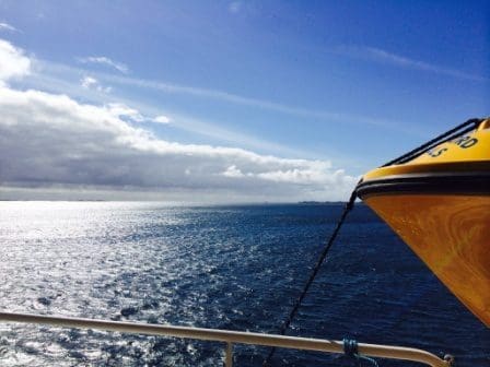Skadelig algeoppblomstring i Skagerrak
