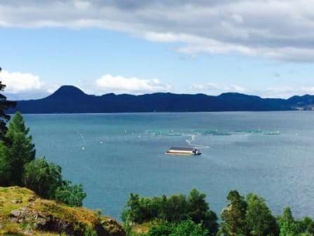 Havbrukstjenesten skifter navn