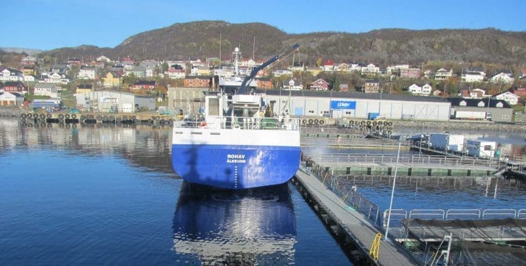 Korona-trøbbel gjorde det krevende å håndtere produksjonsfisk