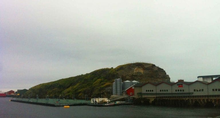 Laks rømte fra Nova Sea