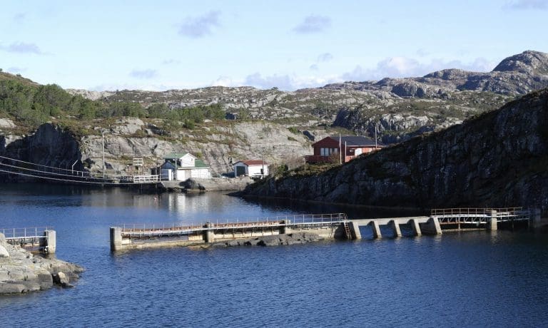 Fikk de store lakseselskapene mesteparten av sine konsesjoner gratis?
