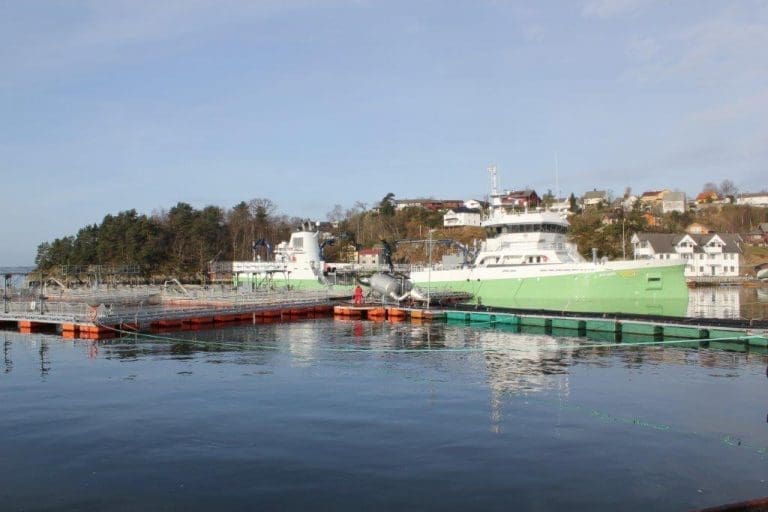 Prisene klatrer oppover