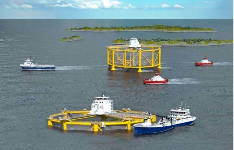 SalMars Ocean Farming får åtte konsesjoner