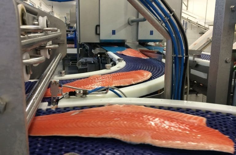 – Tvunget til storkjøp av fisk i spotmarkedet som følge av feilslått sikringsstrategi
