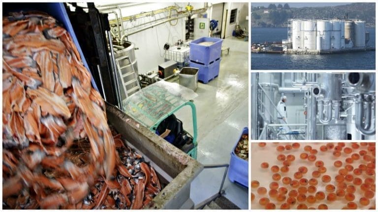 Disse lager ny industri av fiskeavfall