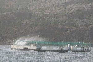 Vil endre ny versjon av Ecomerden