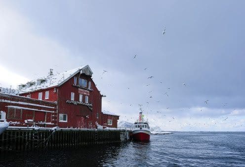 Byks i sjømateksporten