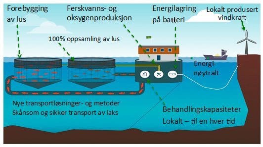 Konsesjonsavslag for Steinvik og Pure Farming