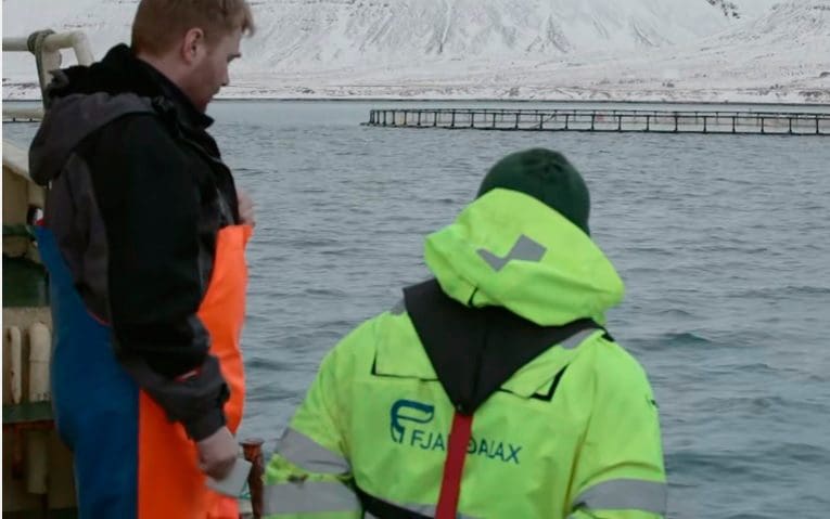 Vokser raskt på Island