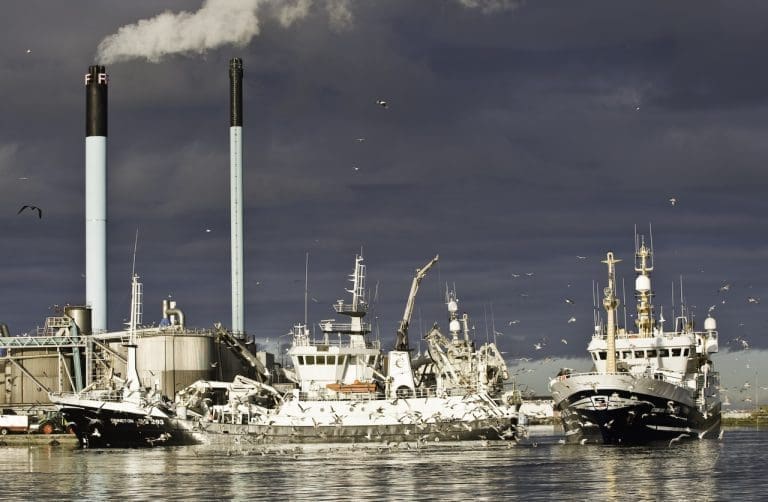 Tidligere fiskemel-topp dømt til tre års fengsel