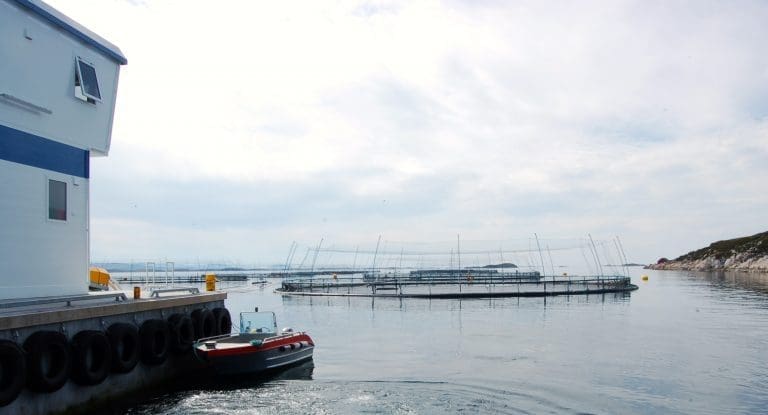 Lakseprisen snur opp