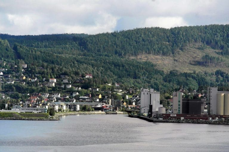 – Et enormt matfat helt fra Orkanger og inn til Beitstadsundet