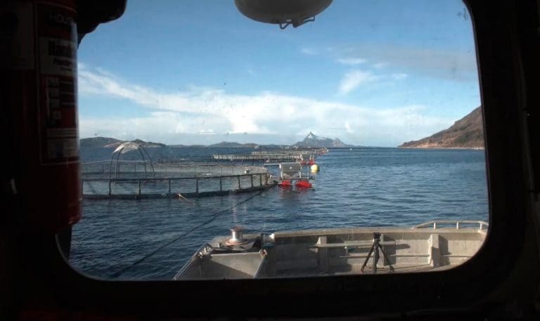 Kvarøy Fiskeoppdrett søker fire utviklingstillatelser