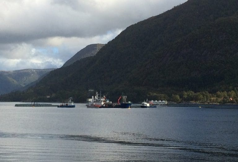 Artic Shipping drar inn 70 mill i år