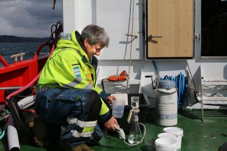 Gode miljøresultater i fjordene i Nordland