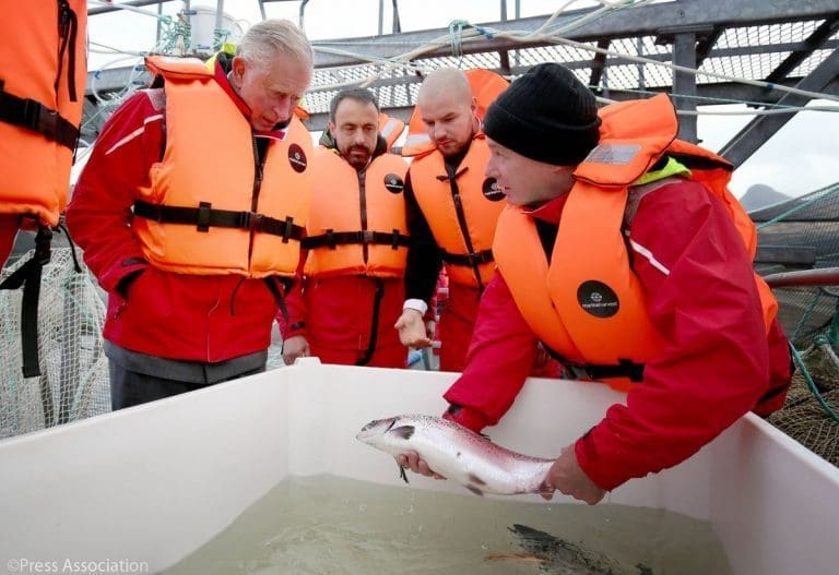 Kongelig besøk hos Marine Harvest