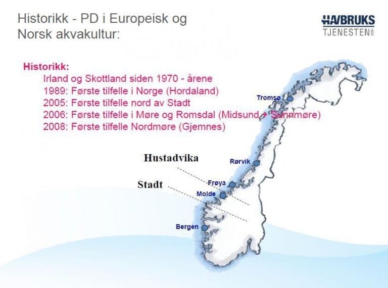 SAV 3–påvisning nord for Hustadvika: Hvordan kunne dette skje?