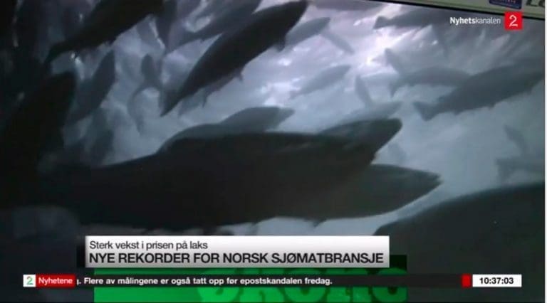 Venter nye prisrekorder i 2017