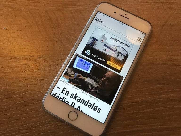 Se og bli sett