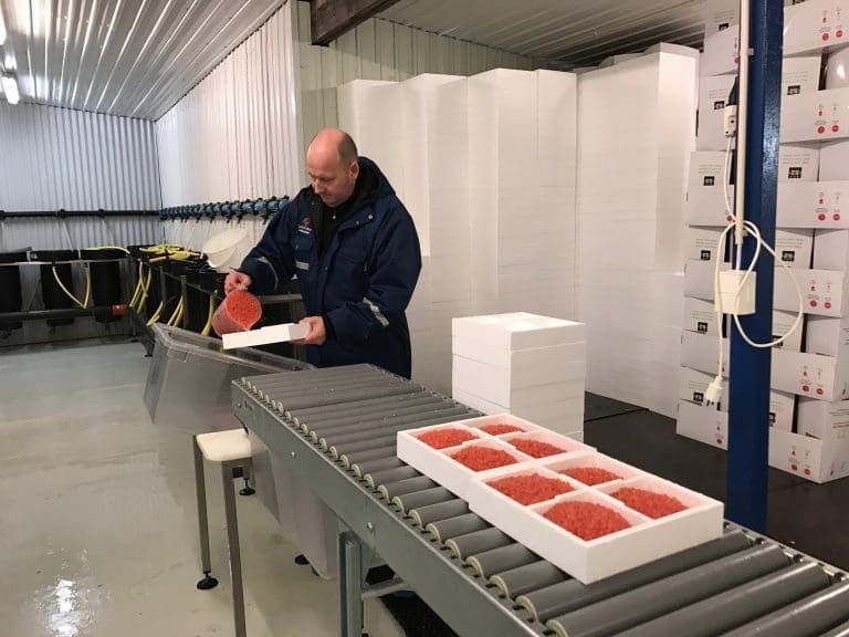 Resultatfremgang, men fortsatt minus for Benchmark
