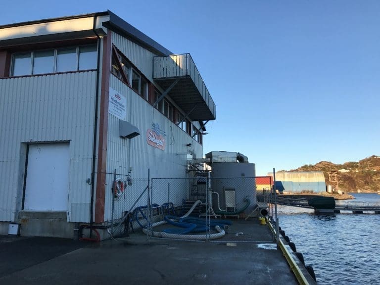 Sund Laksepakkeri til skifteretten: Nå får alle ansatte tilbud om jobb i Sekkingstad