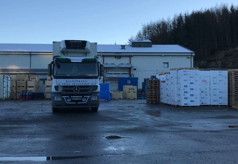 Fjoråret ga den laveste laksepris siden pandemien. Hvordan går det i 2026?