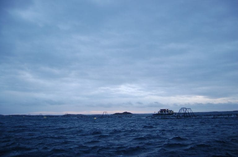 Kostnadene økte med åtte milliarder for fiskeoppdretterne